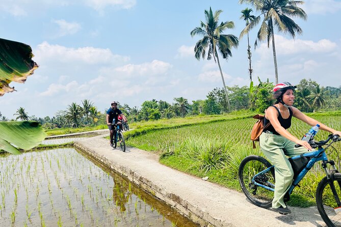 Ubud eBikes Tour to Tegallalang Rice Terrace - Riding through Petulu and the village countryside