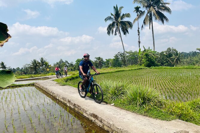 Ubud eBikes Tour to Tegallalang Rice Terrace - Entering a traditional Balinese family compound