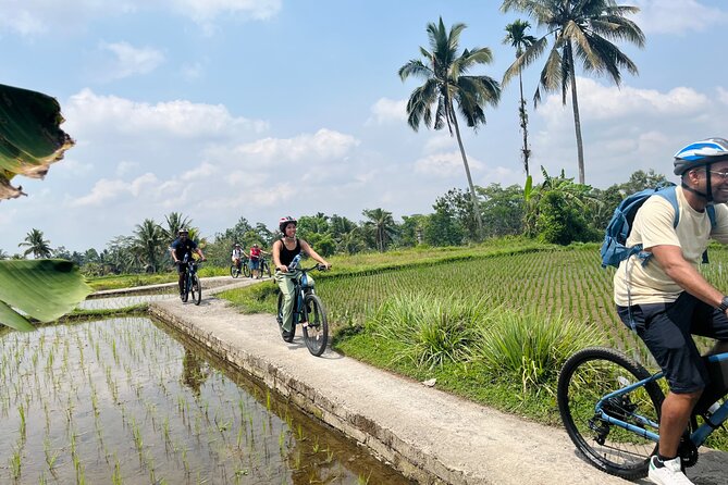 Ubud eBikes Tour to Tegallalang Rice Terrace - Cycling among rice fields and Tegallalang views