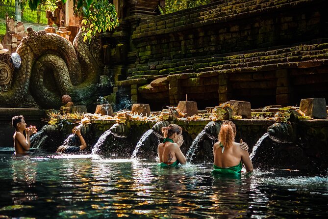 Ubud Experience | Full Day Private Tour in Ubud | FREE WIFI - Tegallalang Rice Terrace and the price of the view