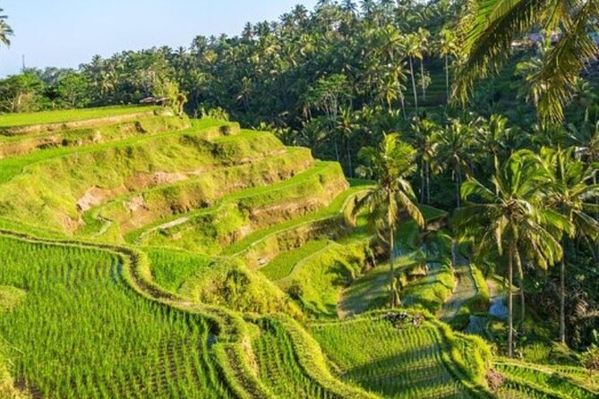 Ubud Full Day Tour Waterfall Monkey Forest Rice Terrace - Tegenungan Waterfall for a change of pace