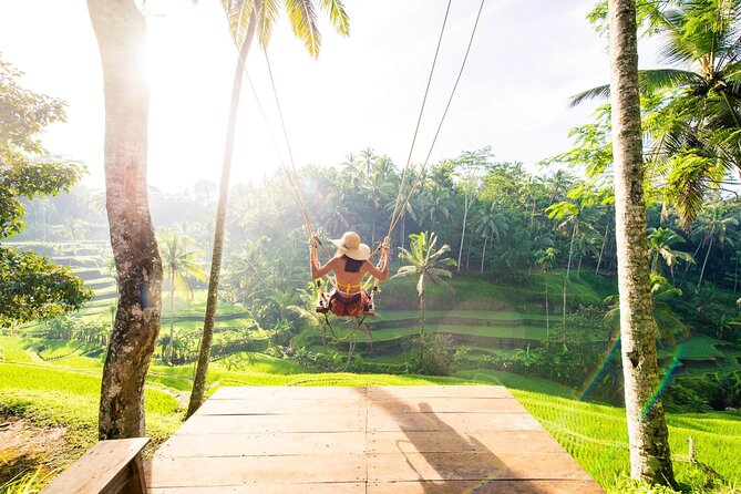 Ubud Full Day Tour Waterfall Monkey Forest Rice Terrace - Monkey Forest: macaques in a sacred setting