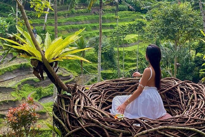 Ubud Highlights -Private Tour,Temples, Waterfalls & Rice terraces - Why this private Ubud route works well