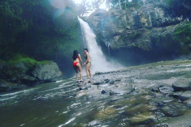 Ubud Hot Springs and Waterfall Private Guided Tour - Happy Swing and Tegalalang Rice Terrace