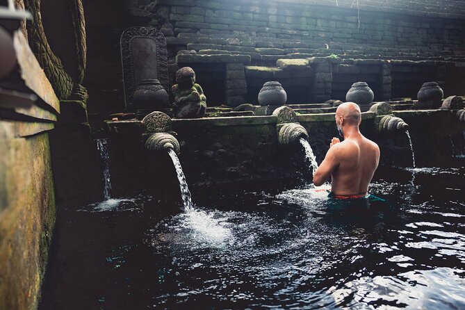 Ubud Iconic Full Day Tour Monkey Forest Rice Terraces Waterfalls - Meeting the Macaques at Sacred Monkey Forest