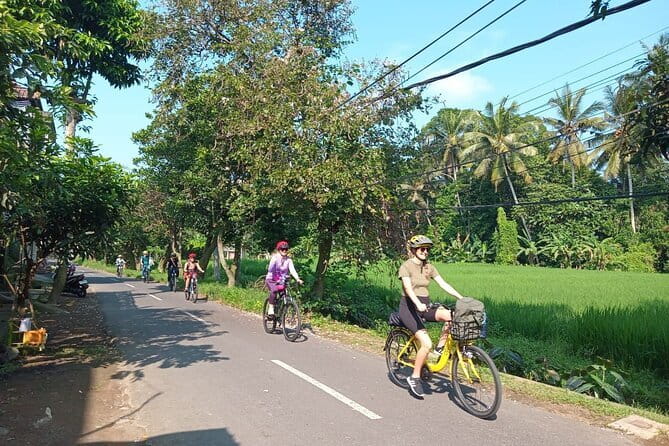 Ubud : Kintamani Downhill Cycling Tour with Lunch - Family compounds and a closer look at village life