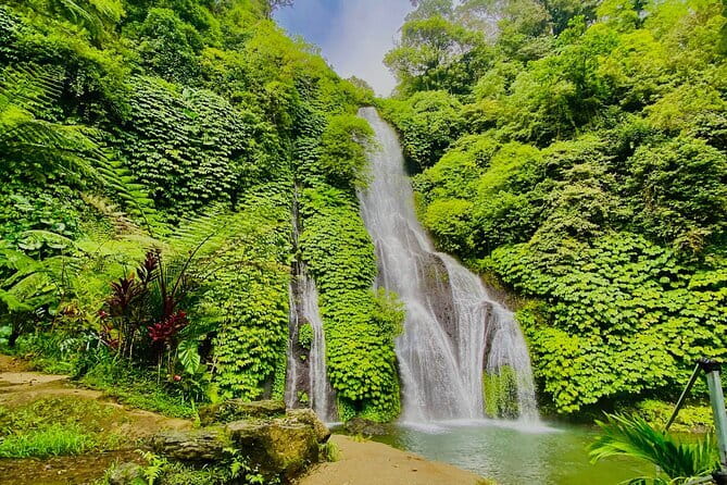 Ubud : Kintamani Downhill Cycling Tour with Lunch - Transport from Ubud and south Bali