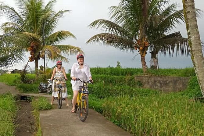 Ubud : Kintamani Downhill Cycling Tour with Lunch - Quiet roads through villages and rice fields