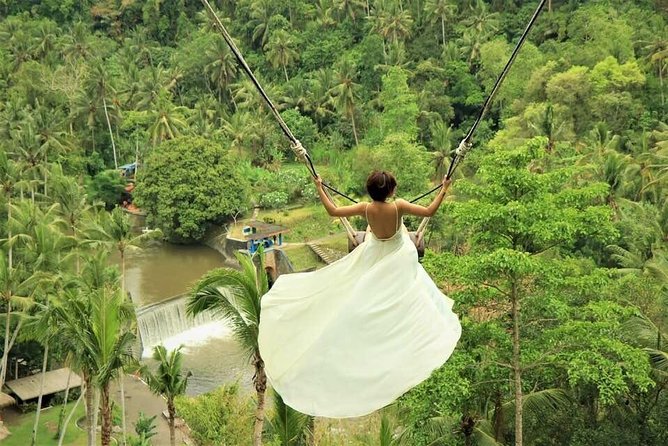 Ubud: Monkey Forest, Jungle Swing, Rice Terrace, and Water Temple - Why this private Ubud route works