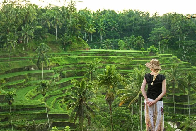 Ubud: Monkey Forest, Jungle Swing, Rice Terrace, and Water Temple - Happy Swing Bali and the price of the photograph