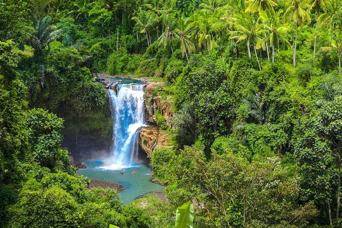 Ubud: Monkey Forest, Jungle Swing, Rice Terrace, and Water Temple - Timing, traffic, and how to keep the day enjoyable