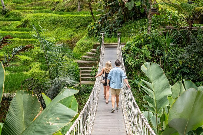 Ubud: Monkey Forest, Rice Terraces & Sacred Temples - Goa Gajah and the strange face in the stone