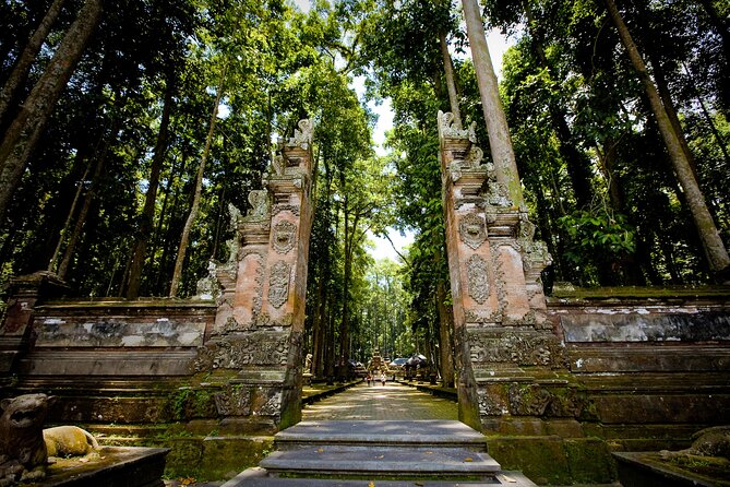 Ubud: Monkey Forest, Rice Terraces & Sacred Temples - Tegalalang’s famous rice terraces