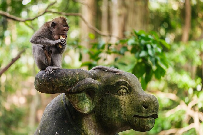 Ubud: Monkey Forest, Rice Terraces & Sacred Temples - Monkey Forest among shrines and macaques