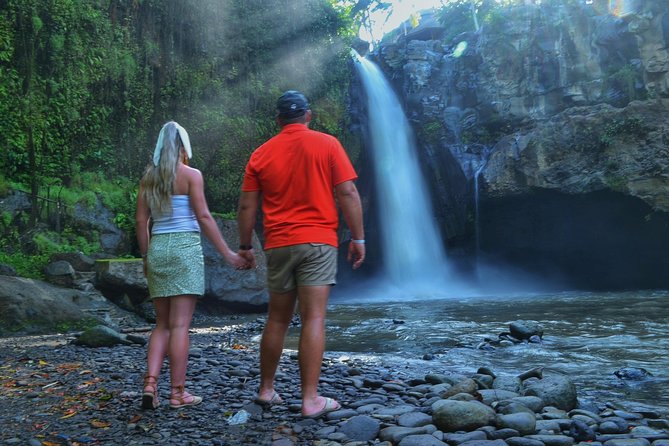 Ubud Monkey Forest Sanctuary Tours and Cretya - Transport, Wi-Fi, and the value of a private day