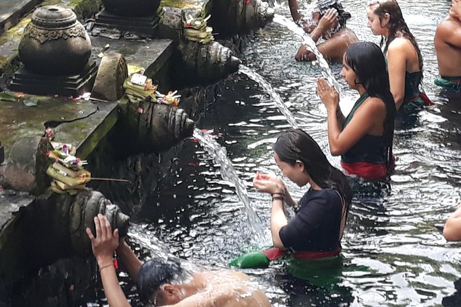 Ubud Natural Gems And Secret Waterfall Private Guided Tour - Tirta Empul: The Day’s Most Meaningful Cultural Visit