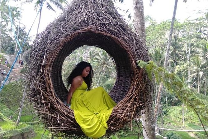 Ubud Natural Gems And Secret Waterfall Private Guided Tour - Tegenungan Waterfall: An Easy Nature Finish