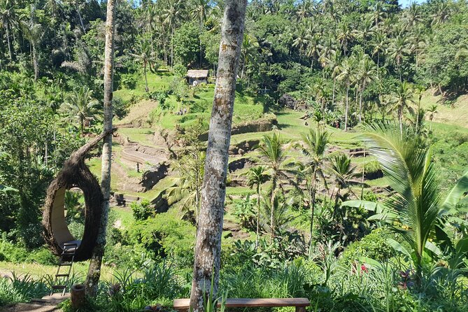 Ubud Private Tour - Kumulilir coffee plantation and the Jungle Lust photo spot