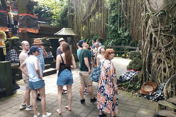 Ubud Private Tour - Tegenungan Waterfall in a short final stop
