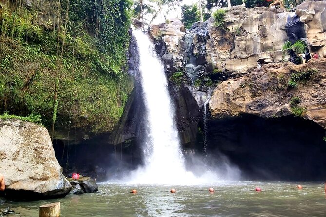 Ubud Private Tour : Best Of Ubud - Guided Tour - Lunch at D’Alas Warung