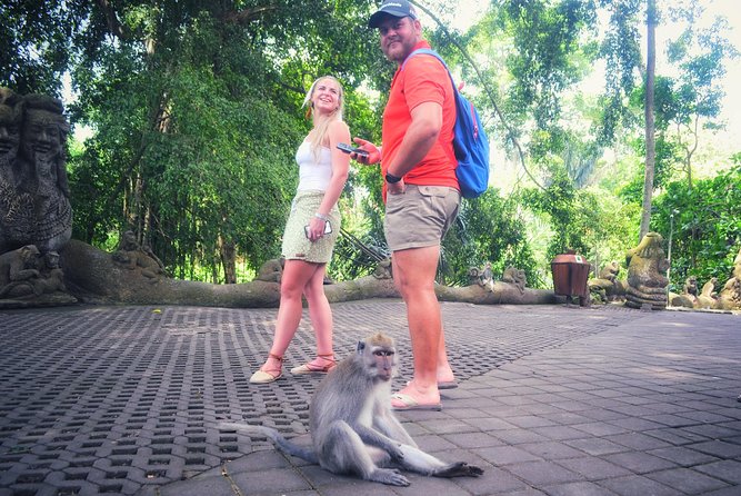 Ubud Private Tour : Choice Your Own Trip - Ubud Market, Saraswati Temple, and Blanco Museum