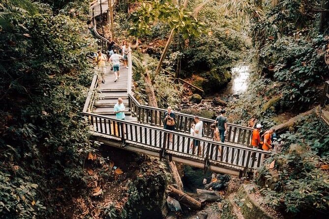 Ubud Private Tour: Monkey Forest, Rice Terrace, Temple, Waterfall - A long but useful route from Seminyak to Ubud