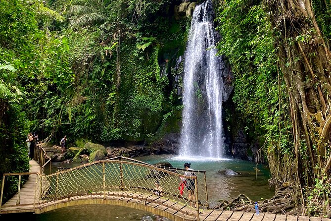 Ubud Private Tour: Monkey Forest, Rice Terrace, Temple, Waterfall - Lunch at Tebasari Resto, Bar & Lounge