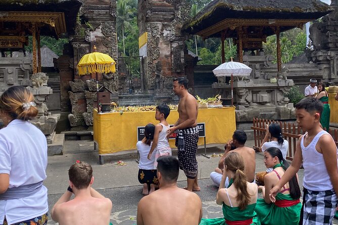 Ubud Private Tour: Monkey Forest, Rice Terrace, Temple, Waterfall - Ulu Petanu Waterfall and a chance to swim