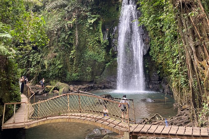 Ubud Private Tour: Monkey Forest, Rice Terrace, Temple, Waterfall - What the private guide adds
