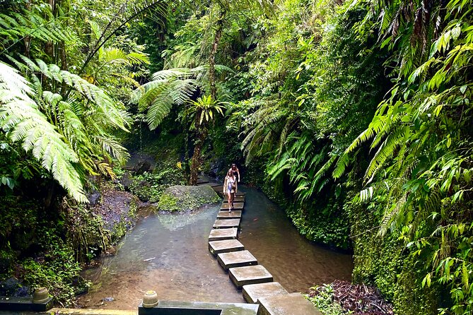 Ubud Private Tour: Monkey Forest, Rice Terrace, Temple, Waterfall - Is $27 per person good value?