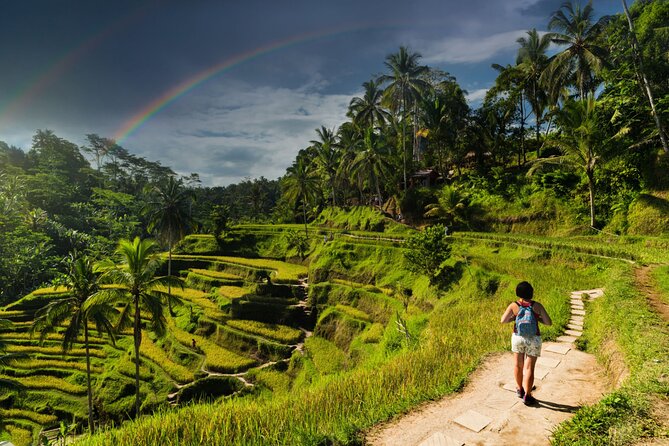 Ubud Private Tour: Monkey Forest - Tirta Empul Temple - Gianyar Night Market Ends with Local Food