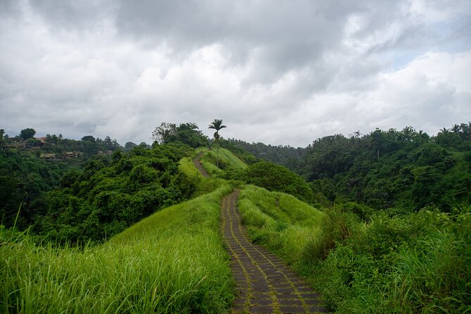 Ubud Private Tour: Monkey Forest - Tirta Empul Temple - A Private Vehicle Is the Real Convenience