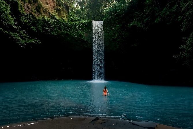 UBUD Private Tour – Rice Terrace, Jungle Swing & Hidden Waterfall - What this private Ubud day is really like