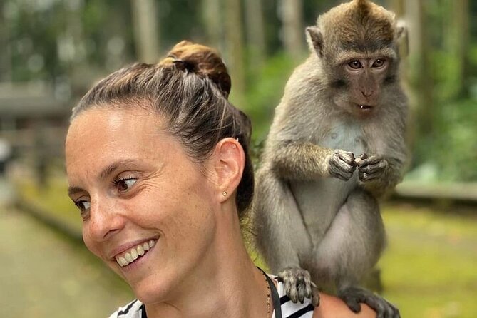 UBUD Private Tour – Rice Terrace, Jungle Swing & Hidden Waterfall - Taman Sari: jungle, rock, and a natural pool