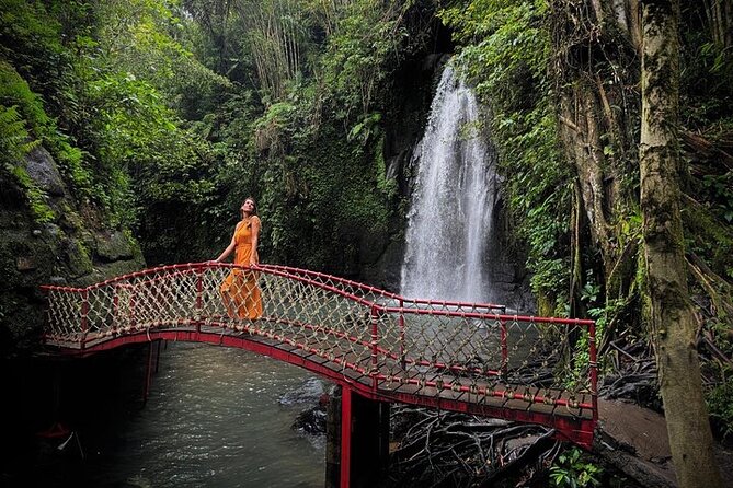 UBUD Private Tour – Rice Terrace, Jungle Swing & Hidden Waterfall - Lunch, tickets, and the value of $33.82