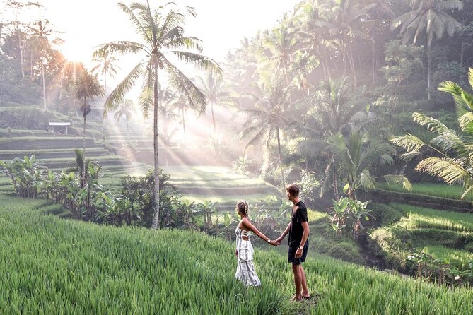 Ubud Private Tour : Ubud Temple and Authentic of Ubud - Tegenungan Waterfall for a quick nature stop