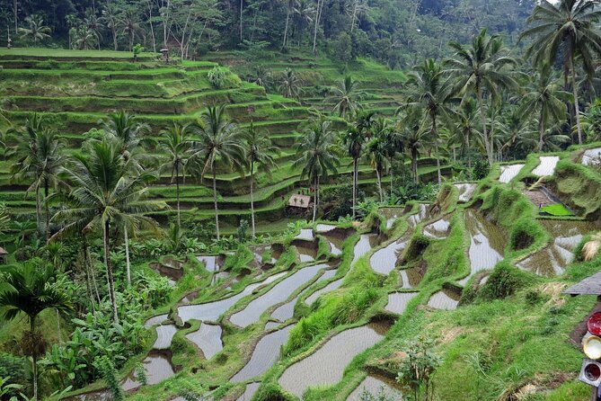 Ubud private tours - How long the day really takes