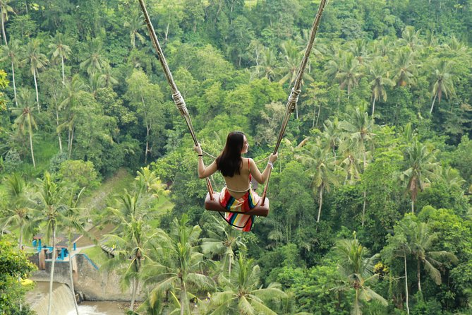 Ubud Private Tours with Jungle Swing Experience - all inclusive - A full Bali day built around one famous swing