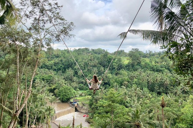 Ubud Private Tours with Jungle Swing Experience - all inclusive - Sangeh Monkey Forest adds a wilder hour