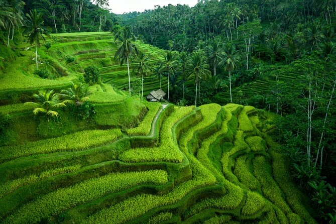 Ubud Private Tours with Jungle Swing Experience - all inclusive - Batubulan, Celuk, and Mas show three Bali crafts