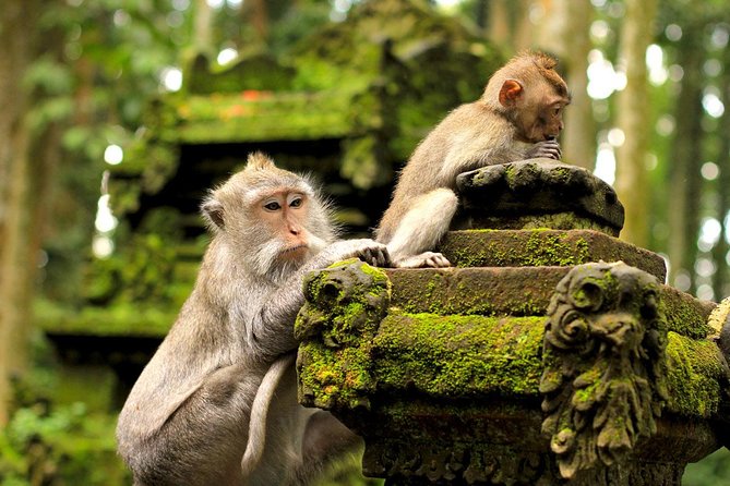 Ubud Sacred Monkey Forest & Art Village Tour - Mas, Bali’s wood-carving center