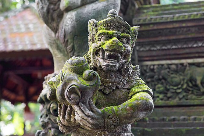 Ubud Sacred Monkey Forest & Art Village Tour - Is $71 a fair price?