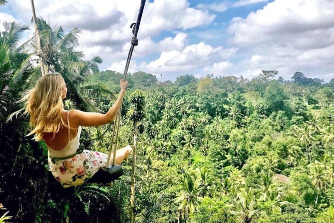 Ubud Sightseeing, Holy Water Temple & Waterfall - Why this route works for a first Ubud day