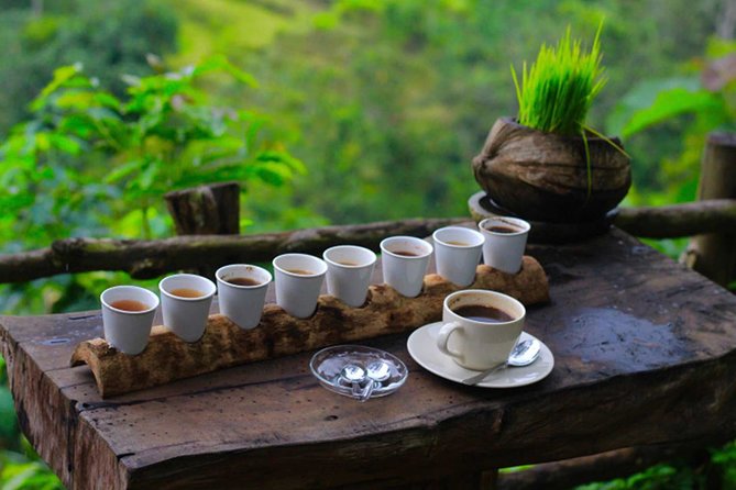 Ubud Sightseeing, Holy Water Temple & Waterfall - Kumulilir coffee farm and the jungle swing