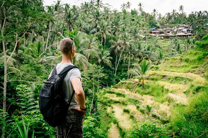 Ubud Small Group Tour: Monkey Forest, Tegalalang Rice Terraces and more - Ubud Traditional Art Market: shopping and a flexible lunch stop