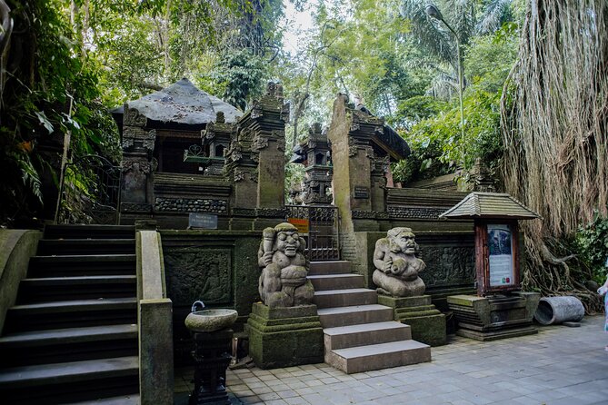 Ubud Small Group Tour: Monkey Forest, Tegalalang Rice Terraces and more - Guides and the small-group experience