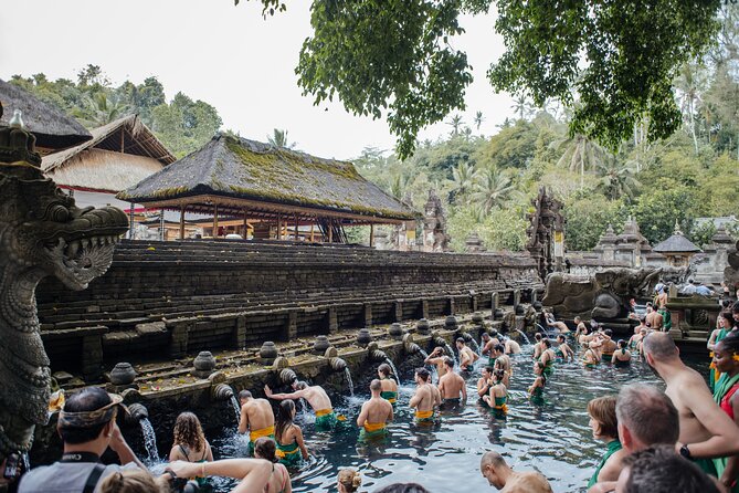 Ubud Small Group Tour: Monkey Forest, Tegalalang Rice Terraces and more - Sacred Monkey Forest: entertaining, but keep your bag close