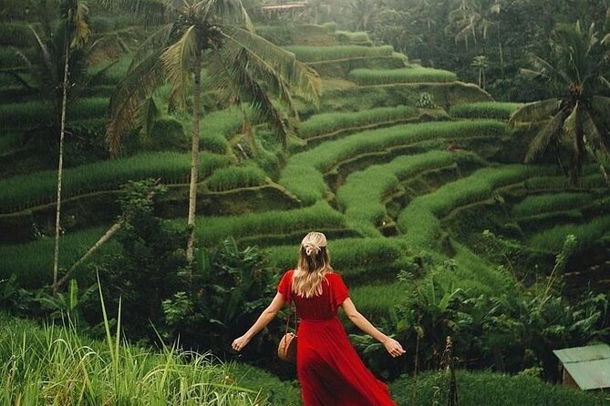 Ubud: Swing - Monkey Forest - Waterfall - Temple - Rice Terraces - Art Crafts - Tegenungan Waterfall: a scenic first stop