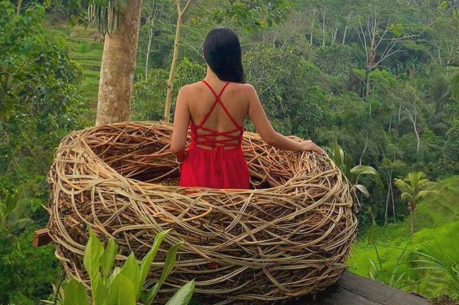 Ubud: Swing - Monkey Forest - Waterfall - Temple - Rice Terraces - Art Crafts - My Swing Bali: a paid photo experience