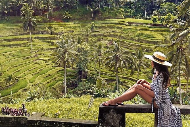 Ubud: Swing - Monkey Forest - Waterfall - Temple - Rice Terraces - Art Crafts - Gallery Ada Garuda: a quieter finish